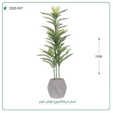 صورة مصغرة 3