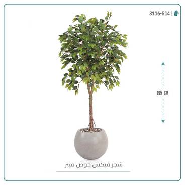 صورة مصغرة 7