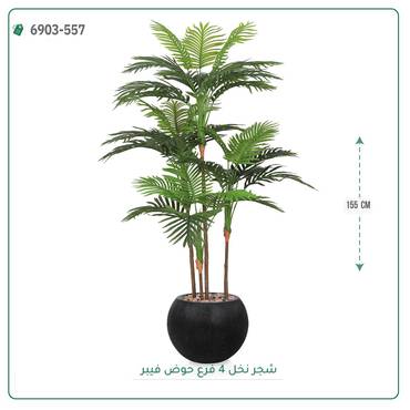 صورة مصغرة 2