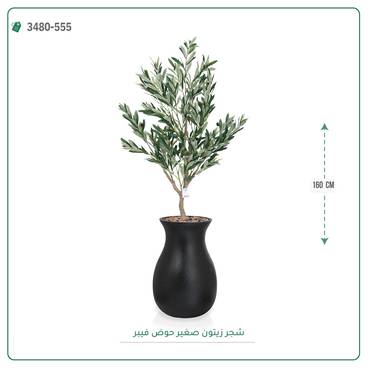 صورة مصغرة 7