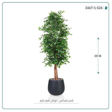 صورة مصغرة 6