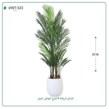 صورة مصغرة 6