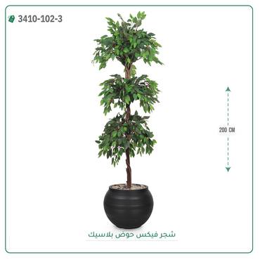 صورة مصغرة 2