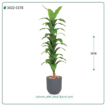 صورة مصغرة 2