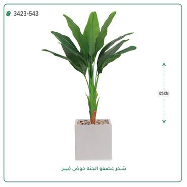 صورة مصغرة 6