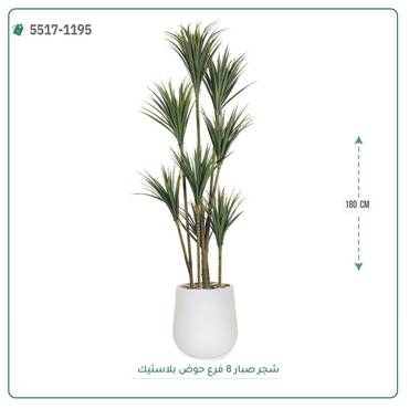 صورة مصغرة 1