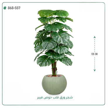 صورة مصغرة 2