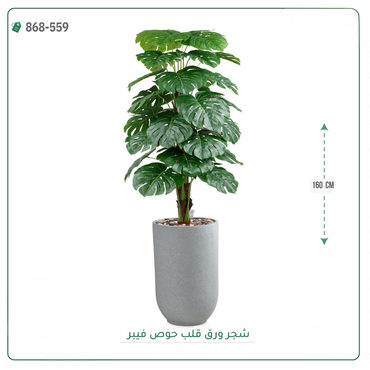صورة مصغرة 6
