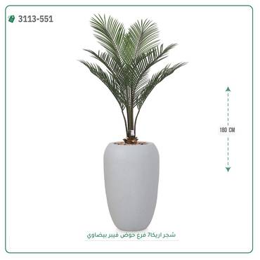 صورة مصغرة 2