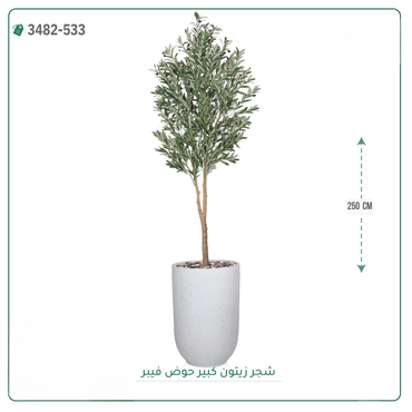 صورة مصغرة 3