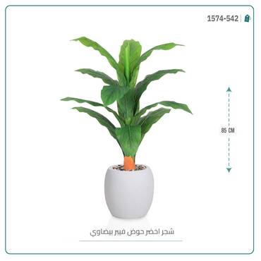 صورة مصغرة 4
