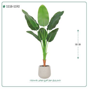 صورة مصغرة 4