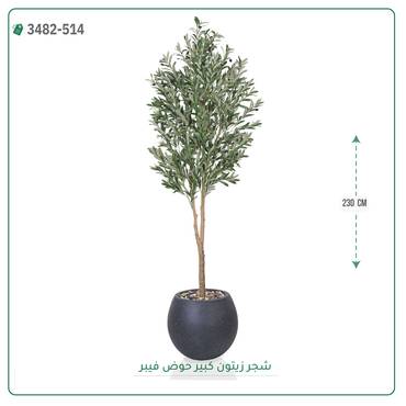 صورة مصغرة 6