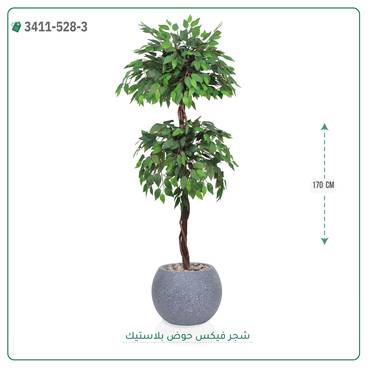 صورة مصغرة 5
