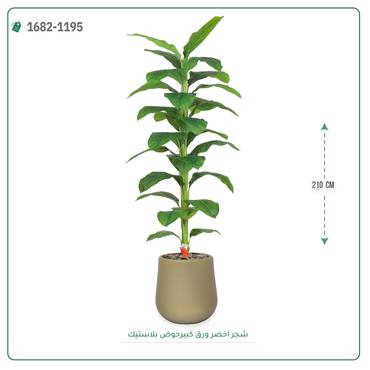 صورة مصغرة 3
