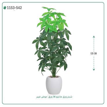 صورة مصغرة 8