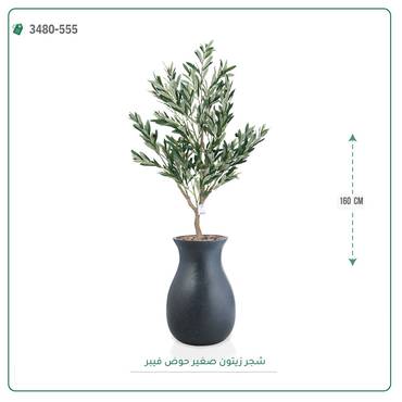 صورة مصغرة 2