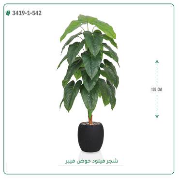 صورة مصغرة 3