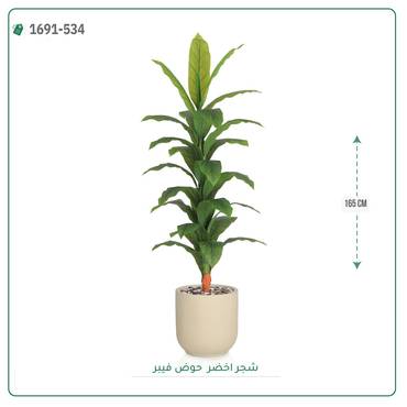 صورة مصغرة 3