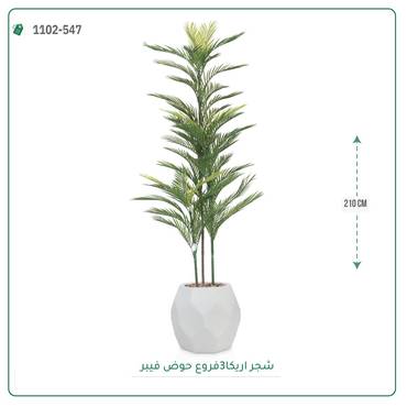 صورة مصغرة 5