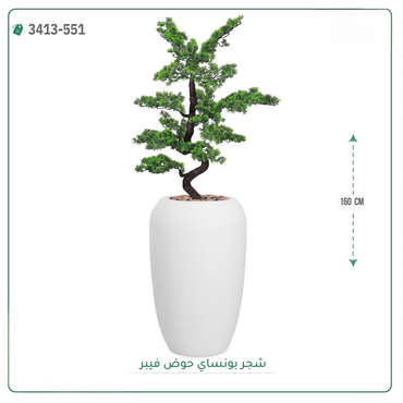 صورة مصغرة 4