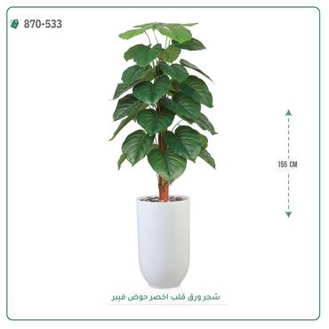 صورة مصغرة 3