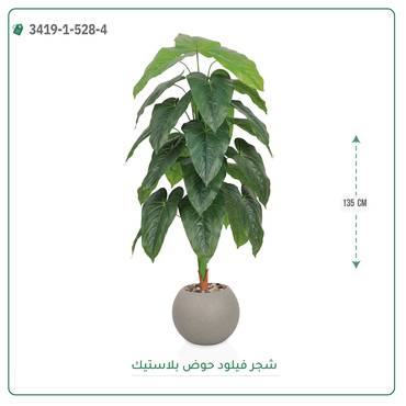 صورة مصغرة 4