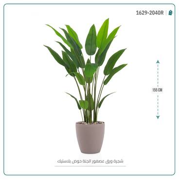 صورة مصغرة 5