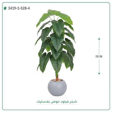 صورة مصغرة 2