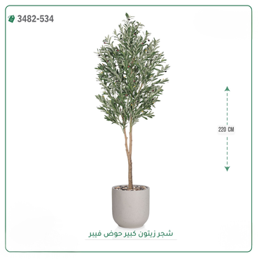 صورة مصغرة 1
