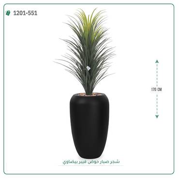صورة مصغرة 5