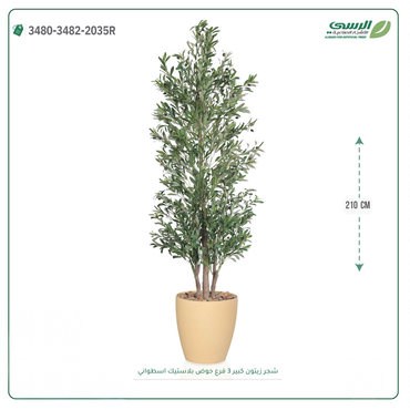 صورة مصغرة 4