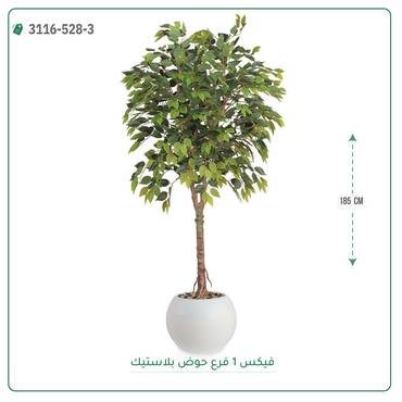صورة مصغرة 2