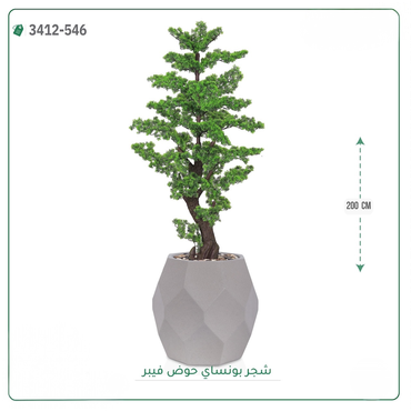 صورة مصغرة 6