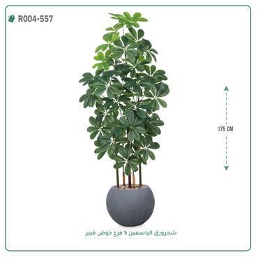 صورة مصغرة 2