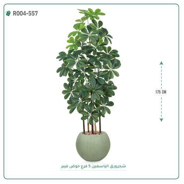 صورة مصغرة 6