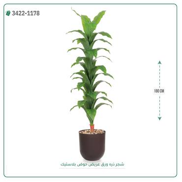 صورة مصغرة 5