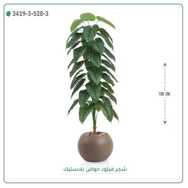 صورة مصغرة 5