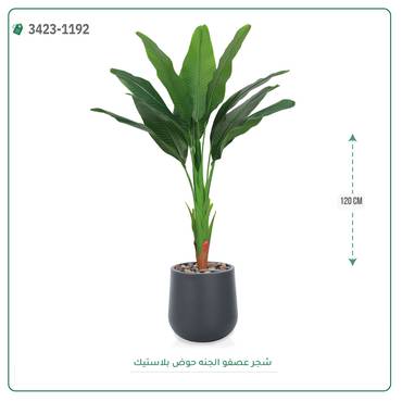 صورة مصغرة 2