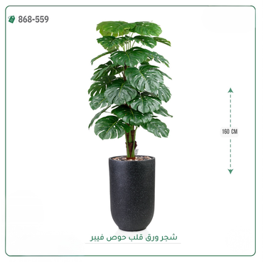 صورة مصغرة 2