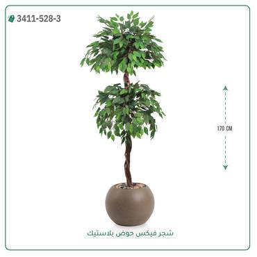 صورة مصغرة 7
