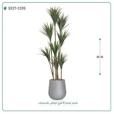 صورة مصغرة 2
