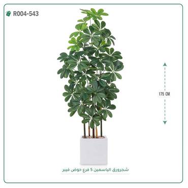 صورة مصغرة 1