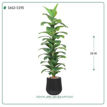 صورة مصغرة 3