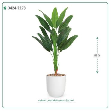 صورة مصغرة 3