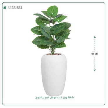صورة مصغرة 4