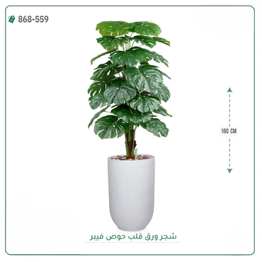 صورة مصغرة 4