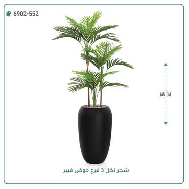 صورة مصغرة 2