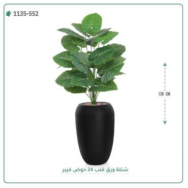 صورة مصغرة 4