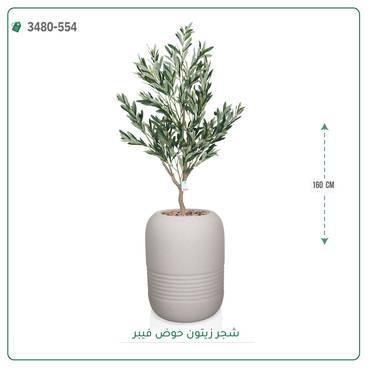 صورة مصغرة 8